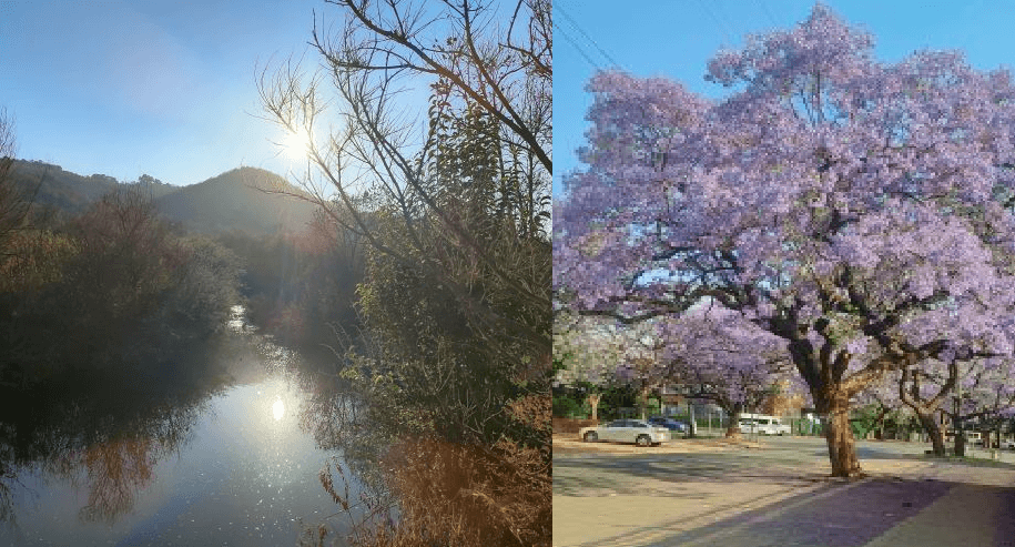 Durban Heat vs. Pretoria Classics: The Founders’ Battle