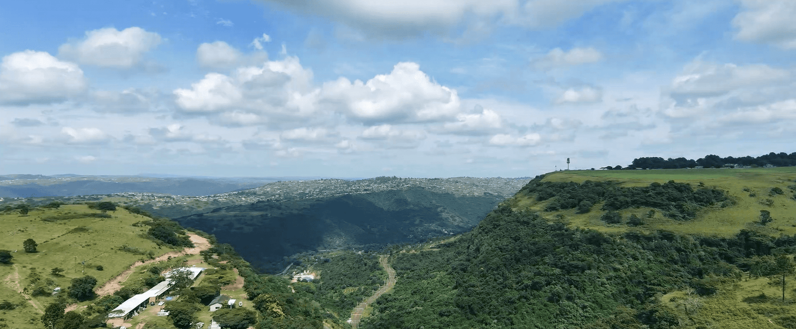 The Makers Behind the Magic: A Day on the Road with Local Roots